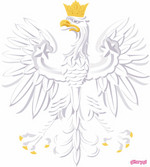 0063 orzeł